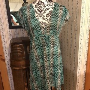 Capelli of New York Cover Up